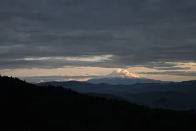 DSC_0123 (Large).JPG